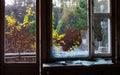 The big broken window in the abandoned building with autumn colorful trees outside it.