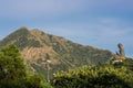 The Big Bronze Buddha statue with Lantau Peak Royalty Free Stock Photo