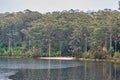 Big Brook Dam Foreshore and Picnic Area in Channybearup