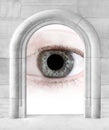 Big Brother is watching you. Royalty Free Stock Photo