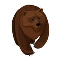 The big brown bear, goes forward. Vector illustration