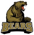Big brown bear mascot Royalty Free Stock Photo
