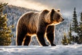 Big brown bear walking in the winter forest