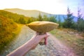 Big brown fresh edible mushroom in a human hand on mountain road background