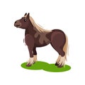 Big brown horse with blonde mane and tail standing on green grass. Mammal animal. Flat vector design Royalty Free Stock Photo