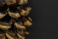 Big brown pine cone placed on black background with copy space Royalty Free Stock Photo