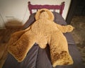 Big brown teddy bear lying at kids bed Royalty Free Stock Photo