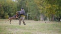 A brown trained german shepherd dog bites his trainer in a protection suit in the arm Royalty Free Stock Photo