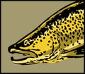 Big brown trout head vector