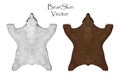 Big brown and white Bear pelt. Hunting trophy. Vector illustration. Interior Design