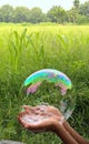 Big Bubble sunlight