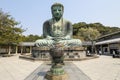 The big Buddha, Daibutsu, in Kamakura, Japan Royalty Free Stock Photo