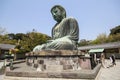 The big Buddha, Daibutsu, in Kamakura, Japan Royalty Free Stock Photo