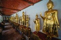 Big Buddha gold statue, Closeup golden buddha, Wat Pho, Thailand . Royalty Free Stock Photo