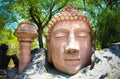 Big Buddha Head on natural backround Royalty Free Stock Photo