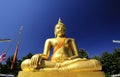 Big Buddha image Royalty Free Stock Photo