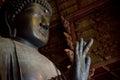 Big Buddha in Kofuku-ji, Nara, Japan. It is popular about you can feed rice crackers to wild deers. The world is big enough to exp