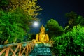 Big Buddha statue in the woods and stars in the sky