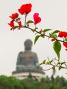 Big Buddha Statye. Po Lin Monastery, Lantau Island, Hong Kong Royalty Free Stock Photo