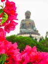 Big Buddha Statye. Po Lin Monastery, Lantau Island, Hong Kong Royalty Free Stock Photo