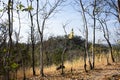 Big buddha on top of mountain for thai people travelers travel visit and trail trekking go to respect praying blessing wish holy