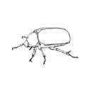 Big bug outline sketch Hand drawn Royalty Free Stock Photo