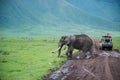 Big bull elephant crossing the road near safari vehicle