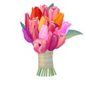 Big bunch of detailed pink, yellow and red tulips on white background. Illustration of flowers can be used for festive and spring