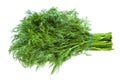 Big bunch of fresh green dill herb isolated Royalty Free Stock Photo