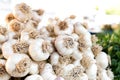 A big bunch of garlic at market.