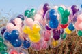 Big bunch of Mickey Mouse balloons at Disneyland