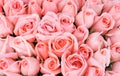 Big bunch of multiple pink roses of a bride on a w