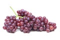 Purple seedless grapes