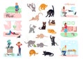 Big Bundle of Cats Royalty Free Stock Photo