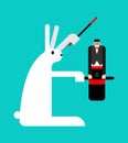 Big bunny and little magician. Magic trick vice versa Royalty Free Stock Photo