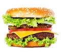 Big burger, hamburger, cheeseburger close-up isolated on a white background Royalty Free Stock Photo