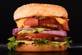 Big Burger with meat and vegetables Royalty Free Stock Photo