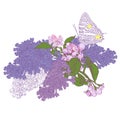 Big Butterfly Sitting Down on Blooming Lilac and