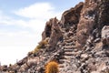 Big cactus on Incahuasi island, salt flat Salar de Uyuni, Altiplano, Bolivia Royalty Free Stock Photo