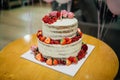 Big cake decorated with berries and flowers with a first birthday candle Royalty Free Stock Photo
