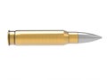 Big caliber bullet - closeup shot