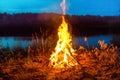 Big campfire at night in the forest Royalty Free Stock Photo