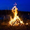 Big campfire at night in the forest Royalty Free Stock Photo