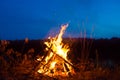Big campfire at night in the forest Royalty Free Stock Photo