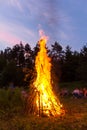 Big campfire at night Royalty Free Stock Photo