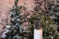 Big candles in glass vases near fir-tree with flashlights in a s Royalty Free Stock Photo