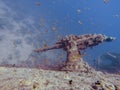 Big gun on top of a ship wreck during dive