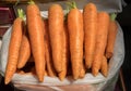 Big carrots for sale at city market