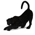 Big Cat Black Jaguar Royalty Free Stock Photo