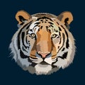 Big cat colorful vector illustration, tiger face pop art portrait premium vector